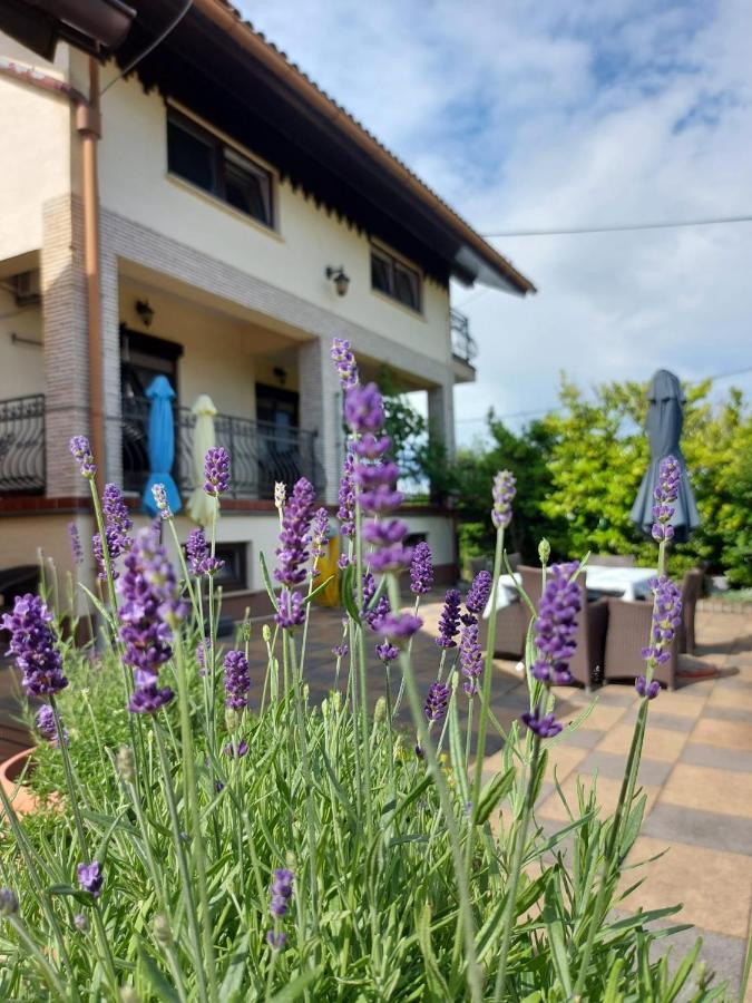 Apartman Nada Ozalj Esterno foto
